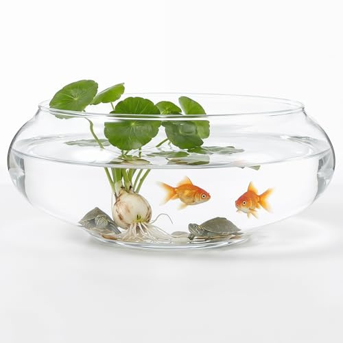 Milisten Bocce Per Pesci in Vetro Piccolo Acquario Portatile Trasparente 5.91 in Vaso Da Fiori in Vetro Da Tavolo Per Piante Acquatiche Terrario Per Casa Ufficio Matrimonio