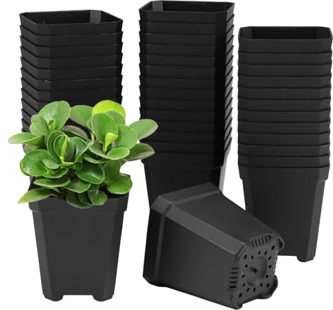100 stycken odlingskrukor 5 cm, plastodlingskrukor rektangulära, små plastkrukor med perforerad botten, odlingskrukor plast för olika växter, sticklingar, transplantater (svart)