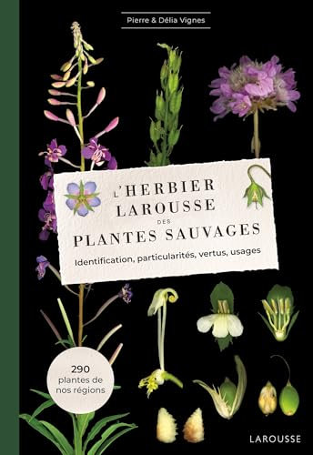 L'Herbier des plantes sauvages
