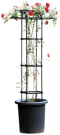 Treillis de Jardin en Métal de 65 Pouces, Cadre d'escalade pour Plantes, Treillis de Jardin en Métal pour Plantes en Pot, Plantes D'intérieur, Vignes Grimpantes (Noir)