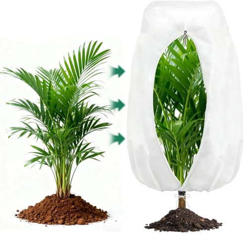 AOOWU Voile Hivernage Plante Exterieur, 200*240CM Housse Hivernage pour Plantes avec Cordon de Serrage et fermeture éclair, Housses de Protection Contre Le Gel, Bache Hivernage Protection Plante Hiver