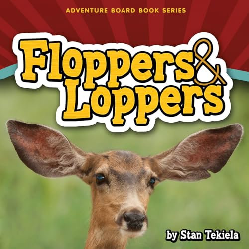 Floppers & Loppers (Adventure Boardbook Series)
