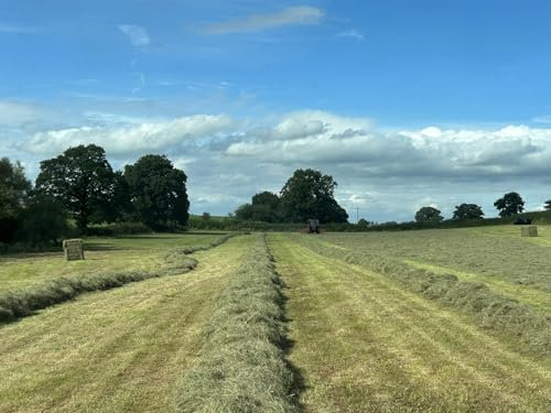 Premium Meadow Hay Bale, Farm Fresh Natural Grass, Rabbit Feed