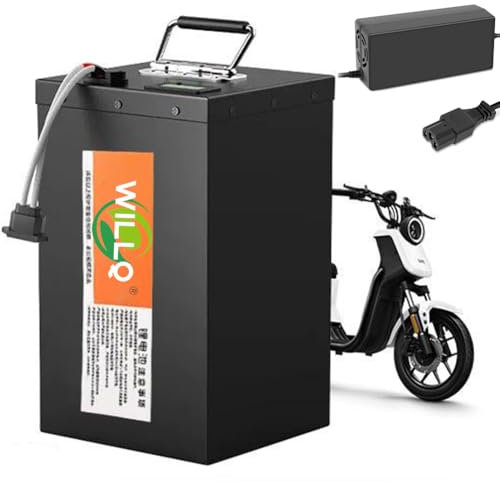 WILLQ Batería de Motocicleta de 48V 60V 72V 40Ah 50Ah 60Ah 70Ah LiFePO4 para Bicicleta eléctrica, batería de fosfato de Hierro y Litio con Cargador para Motor de 0 a 5000W,48v40ah