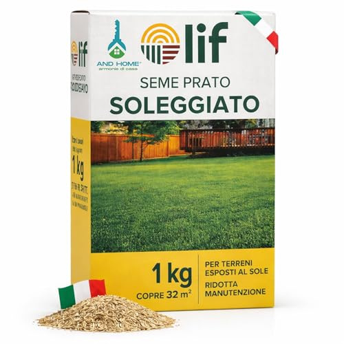 Semi Prato Soleggiato 32 mq – Semi Prato Crescita Rapida Resistenti a Caldo e Siccità – Tappeto Erboso Fitto, Verde Intenso, Facile Manutenzione - Germinazione Rapida in 14 Giorni, 1KG
