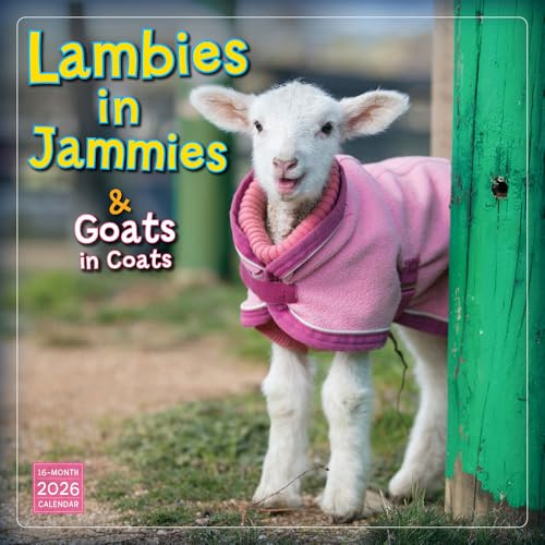 Lambies in Jammies & Goats in Coats 2026 Wall Calendar, 12-Month Funny Animal Calendar, 12 x 12, Monthly Calendar 2026 Planner with Large Grids for Office or Home