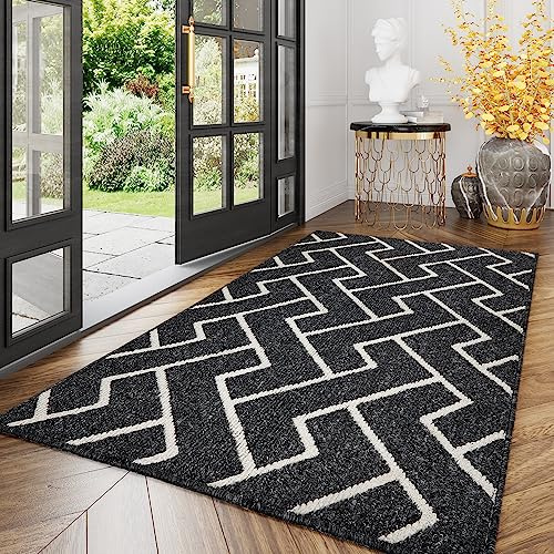 Biscpro Schmutzfangmatte 120 x180 cm, Rutschfestigkeit Fußmatte,Eingangstürmatte Türmatte für Hund,Außen Innen Garten,Teppich,Terrazzo,Haustür,Terrazzo