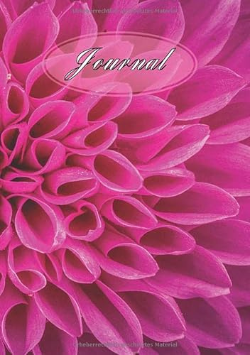 Journal: Notizbuch zum Zeichnen und Malen mit Punkteraster punktiert mit hübschem lila Blumencover und pinker Rose in DIN A5