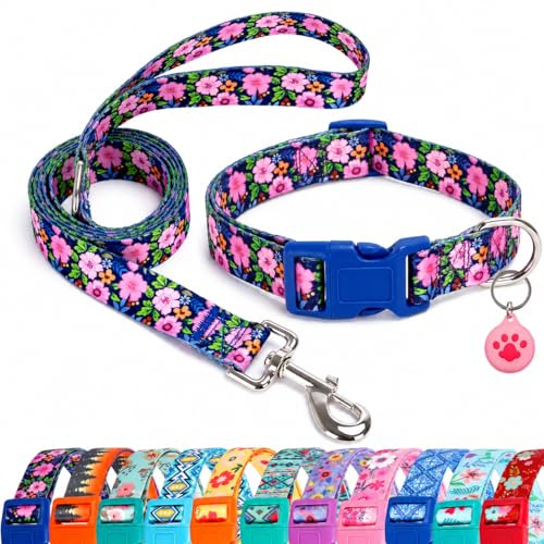 SLZZ Hundehalsband mit Leine Airtag Halter Etui Garnitur - Hundehalsbänder für männlich weiblich Junge Mädchen Welpe X-klein klein mittel groß Hunde Gehen Laufen Training - Gänseblümchen-XS