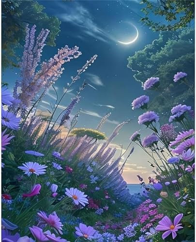 Mond Malen Nach Zahlen Erwachsene, Garten Malen Nach Zahlen Kinder Klein 50x65cm, DIY Set Erwachsene Handgemalt Leinwand Ölgemälde, Acrylfarben mit 3 Set Pinseln, Zimmer Deko Aesthetic Geschenke -Y609