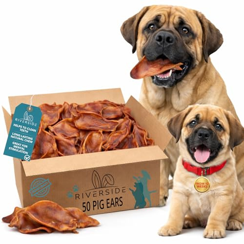 L Pig Ears For Dogs – 50 Pack 100% Natural, Long Lasting, Grain Free, Natural Healthy Dog Chew Treats