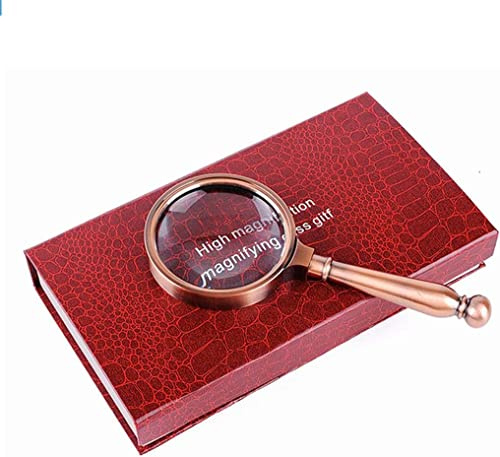 HYEFDWS Lupe, 10-fache Vergrößerung, Metalllupe, Handlupe, Leselupe für Senioren, optische Glaslinse, hohe Klarheit zum Lesen, Hobbys, Reparieren, Beobachten, Geschenke