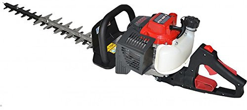 Taille Haies Thermique 2 Temps Moteur Kawasaki