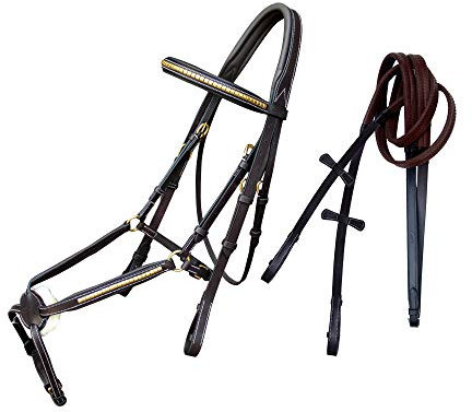 Exion - Brida de piel con agarre de goma y hebillas de latón, diseño de caballo, color plateado, Medium (Cob), Havana (Choco Brown)