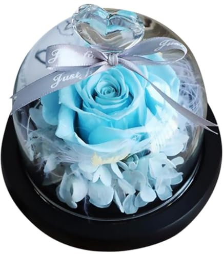 Amosfun Rose Éternelle sous Cloche Verre Décoration De Saint-Valentin Accessoire Romantique pour Maison Bureau Idée pour Événements Spéciaux Atmosphère Féérique