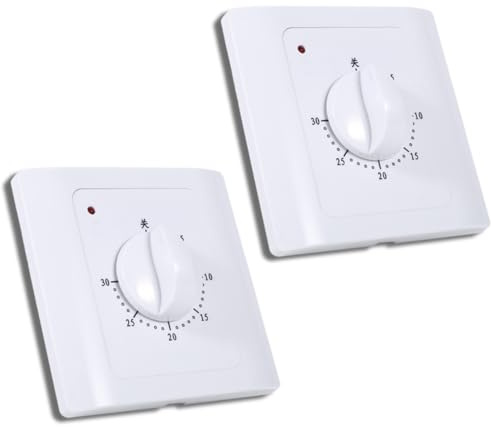 Cyrank 2 PCS Tempor de Temporizador, Tiempo de Electricidad de 30 Minutos Cuenta con el Tiempo de Cuenta eléctrica 220V 10A Continuador de Control de Interruptor programable para AC
