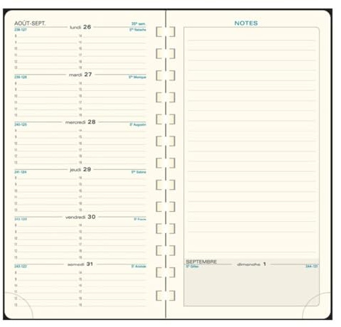 Exacompta 17822E – Nachfüllpack Taschenkalender Espace 17S Spiralbindung 17,5 x 9 cm Wochenkalender Januar bis Dezember 2023 – zufällige Farbe