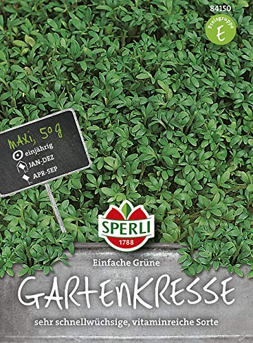 Sperli 84149 Gartenkresse Grüne einfache (MaxiPack 50g) (Kressesamen)