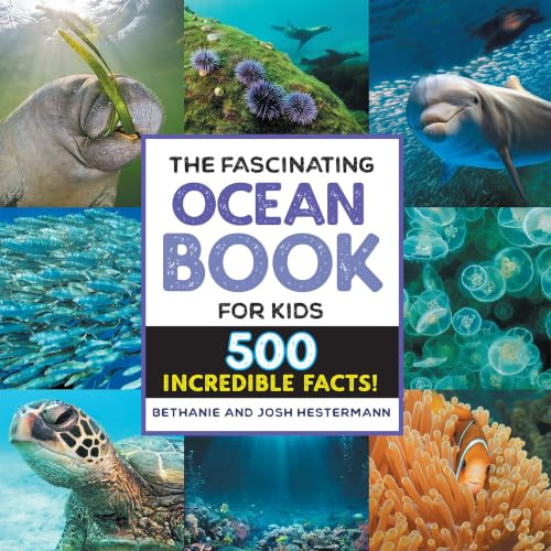 The Fascinating Ocean Book for Kids: 500 Incredible Facts! (Fascinating Facts)
