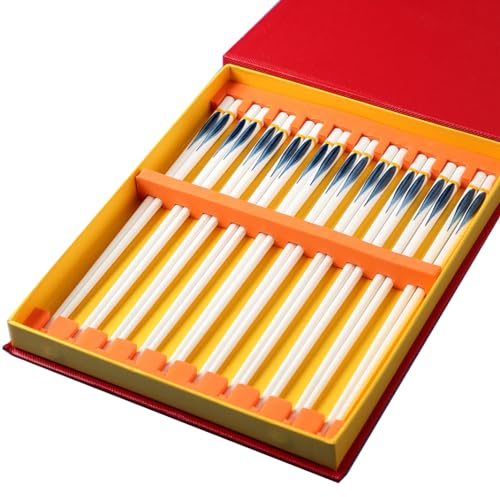 Set di bacchette cinesi in porcellana, confezione regalo, 10 paia di bacchette premium riutilizzabili lavabili in lavastoviglie, set regalo con custodia, bacchette in ceramica di osso di alta qua