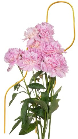Duroecsain Treillis pour en Pot, tuteur pour grimpantes, réutilisable, 46 cm, pour en Pot, légumes, Balcon, Jardin