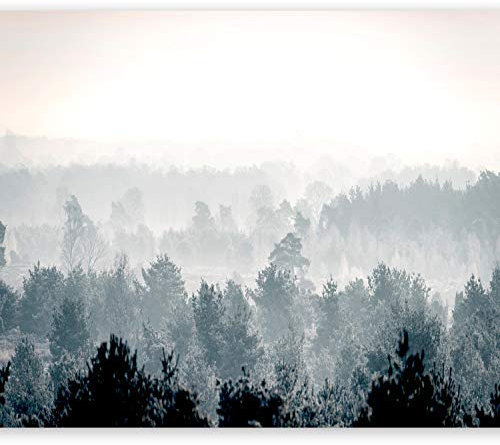 murando Fotomurales Bosque 350x256 cm XXL Papel pintado tejido no tejido Decoración de Pared decorativos Murales moderna de Diseno Fotográfico Niebla Naturaleza c-B-0347-a-a