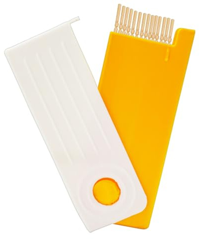 Porta stuzzicadenti portatile Flosser Dispenser Organizer Soluzione