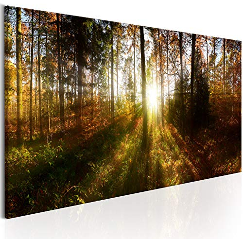 B&D XXL - Akustikbild Wald Bilder Akustikschaum Hochleistungsschallabsorber Schallschutz Leinwand 1 tlg Wandbild Raumakustik Schalldämmung Waldlandschaft Natur Panorama c-B-0173-b-a