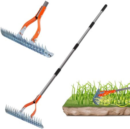 Rastrillo de césped de acero inoxidable y mango resistente, rastrillo de jardín con mango, escarificador manual para quitar rastrillo, hojas muertas y rociados