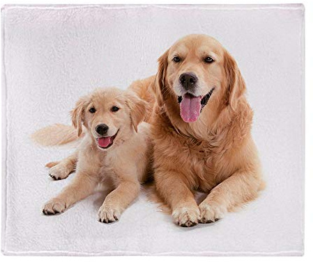 YISUMEI Decke 150x200 cm Kuscheldecken Sanft Flanell Weich Fleecedecke Bettüberwurf Golden Retriever Buddies