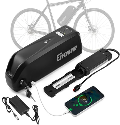 Batería Ebike 36V 22.5AH, Batería Bicicleta Electrica Litio para Motor 750W 500W 350W 250W 200W, con Puerto USB, Cargador, Placa Base 5 Pin y Célula Grado A