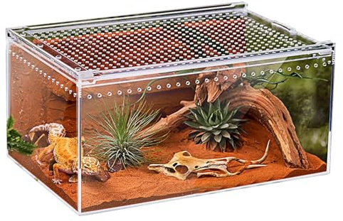 Spinnenterrarium,Transparentes Reptilienterrarium - Reptilien Terrarium - Für Geckos Schlangen Frösche Chamäleons Bartagamen Schildkröten