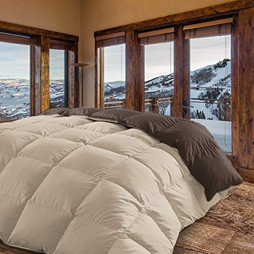 Energy Colors Textil - Hogar - Moscow - Edredón/Relleno Nórdico Reversible (Crema - Marrón, Cama 90 y 105 (180_x_260_cm))