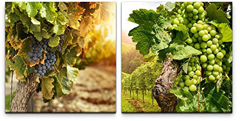Paul Sinus Art Wandbild 2x60x60cm Süden Weinrebe Weintrauben Wein Sommer Italien Toskana