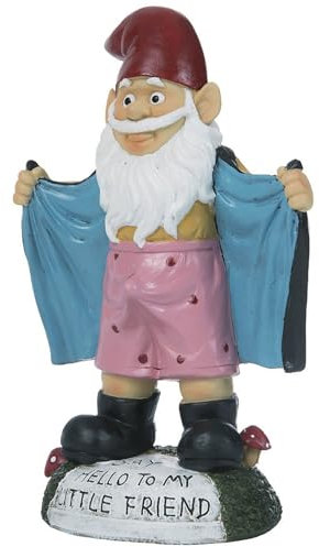 Sexy Gnome Statues, 5.9 Inch Resin Funny Garden Gnomes, Full Color Say Hello to My Little Friend, Reusable Naughty Gnomes, For Gnome Lovers Lawn Yard Porch, Black Funny Garden Gnomes