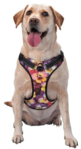 Aquarell Stiefmütterchen Blumen, Haustiergeschirr, Verstellbares reflektierendes Hundegeschirr, Haustierleinenweste,XL