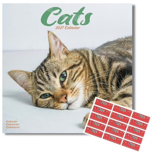 Avonside Cats 2027 Calendar with Organisational Stickers, 16 Month Square Wall Calendar (Sept 2026 - Dec 2027), UK Planner for Cat Lovers, For Home, Office or Kitchen, 11.6 x 11.6 in