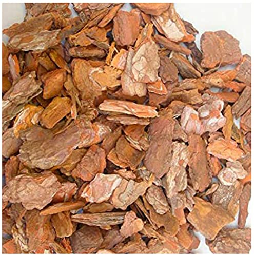 TODOSTONES Corteza de Pino para decoración 10 litros (40/60 mm)