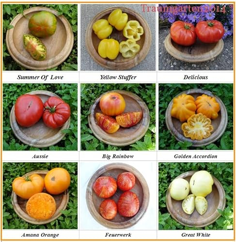 Fleischtomate Set 9 Sorten - In Deutschland angebaut - bis zu über 1kg schwer - TOP Qualität ohne Gentechnik - 100% Naturbelassen und samenfest - Saatgut - Rarität