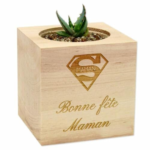 Ocadeau Eco-Cubo de Madera Grabado Personalizado - Una Planta de su elección en un Cubo de Madera Biodegradable Que Puede Personalizarse con su Propio Texto Grabado