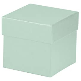 Rössler Geschenkbox mit Deckel | Box mit Deckel | Geschenkbox Geburtstag | Karton mit Deckel | Geschenk Box | Geschenkkarton mit Deckel | Maße: 105x105x105mm | Farbe: Grün | Mint