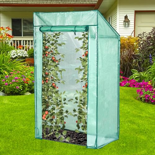 Lendo Online Serra per Pomodori, Serra da Giardino, Serra Orto, Telo PE, per Pomodori, Frutta, Fiori, Piante, per Balcone, Terrazza, Cortile, Verde 100x60x174cm