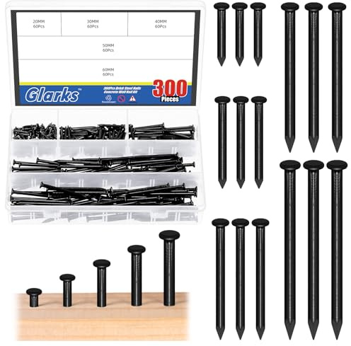 Glarks 300pcs 20/30 / 40/50 / 60mm brique acier clous Kit, noir acier au carbone Hardware clous, clous de finition, Brad et picture suspension clous, clous en bois, ciments clous
