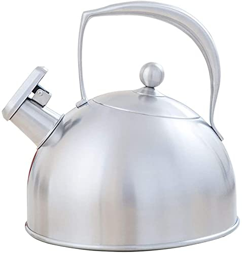 ZHANGDONG Bouilloire INOX Bouilloire sifflante Théière en Fonte Bouilloire en Acier Inoxydable, Bouilloire à ébullition Rapide, exquise et Belle. Universelle pour Toutes Les plaques de cuis