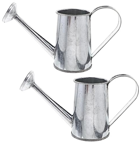 BESPORTBLE 4pièces Arrosoir Fer Vintage Pot Arrosage pour Plantes Intérieures Et Extérieures pour Fleurs Et Bonsai