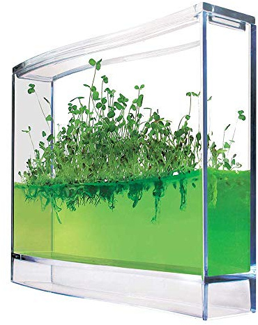 Monsterzeug Gel Gewächshaus für Gewürze, Mini Plantarium für Kräuter, Gewürze selber Pflanzen, Kleines Experimentier-Set - Ökosystem