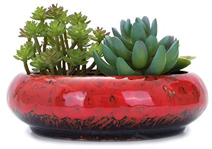 VanEnjoy. Macetas de cerámica esmaltada, Redondas, Grandes, Poco Profundas, para Plantas suculentas, 18,5 cm, con Orificio de Drenaje, macetas de bonsái, Decorativas, para jardín, Cactus (Rojo)