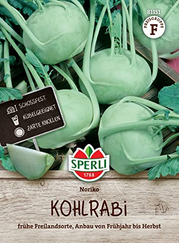 Sperli 81151, Kohlrabi Noriko, frühe Freilandsorte, schoßfest, Kübelgeeignet, Portionssaatgut