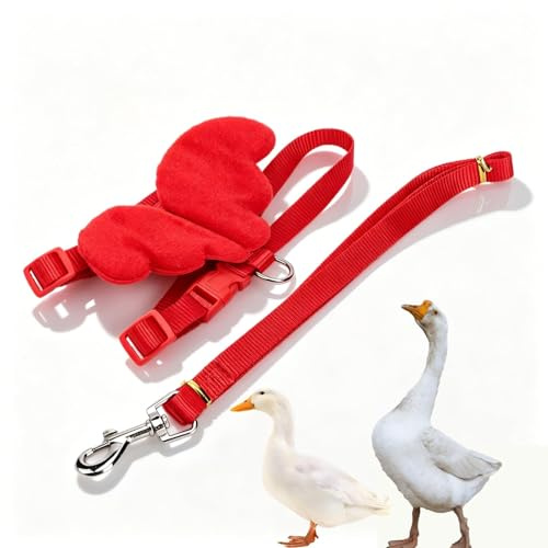 Harnais Réglable pour Poules avec Laisse, Corde de Traction pour Canards de Compagnie, Gilet à Sangle de Poitrine pour Poules et Oies Harnais de Marche Extérieur avec Laisse (S Rouge)