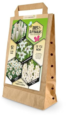 50 Bee & Butterfly Summer Bulb Collection | White Bulb Varieties | Eco Packaging | Plant Now Ready to Bloom in Summer